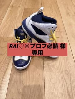 バッシュ バスケ 20cm 室内用シューズ 中古のサムネイル