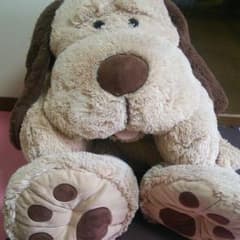 コストコ 犬 ぬいぐるみのサムネイル
