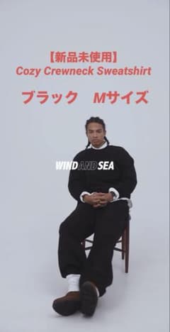 【美品】Crewneck Sweat M WIND AND SEAのサムネイル