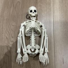 ガイコツ フィギュア 約30cmのサムネイル