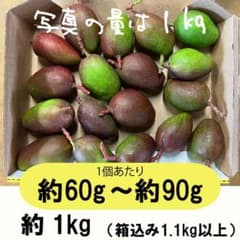 摘果マンゴー2/14 期間限定 摘果マンゴー （2.5kg）：沖縄県産の果物｜食べチョク｜産地