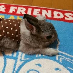4児のmama♡様 専用のサムネイル