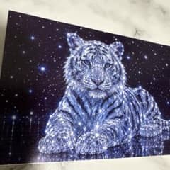 高光沢透明シール クリスタル 虎のサムネイル