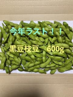 【今年ラスト】丹波黒豆枝豆　600gのサムネイル