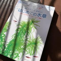 かんたん　きれい　はじめての水草のサムネイル