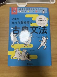 八澤のたった6時間で古典文法のサムネイル