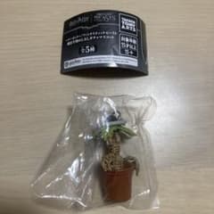 ファンタスティック・ビースト 魔法生物めじるしアクセサリー マンドレイクのサムネイル