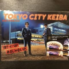 中村倫也 新田真剣佑クリアファイル&東京メガイルミ ペアチケットのサムネイル