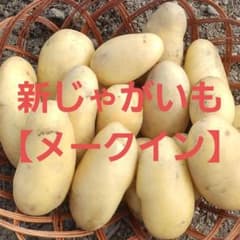 新じゃがいも【メークイン】農薬不使用　宅急便コンパクト発送のサムネイル