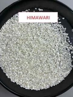 HIMAWARI 米 24kg ひまわりライス来週月曜日から発送 - メルカリ