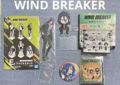 스기시타 쿄타로 WIND BREAKER 윈드 브레이커 악스타 캔 배치