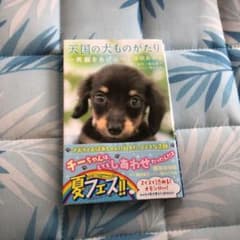 天国の犬ものがたり ～笑顔をあげに～のサムネイル