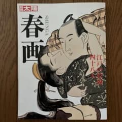 春画 別冊太陽 アートブック - メルカリ