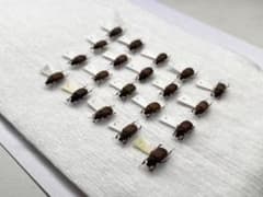 まとめて取引ok マグソクワガタ　昆虫標本セット まとめ売りのサムネイル