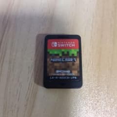 Minecraft Nintendo Switch ソフトのみ
