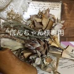 ぽんちゃん様専用のサムネイル