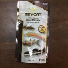 ひかりクレスト ミニキャットのサムネイル