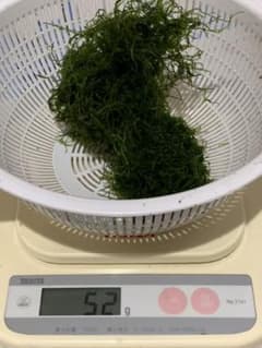 ウィローモス　50gのサムネイル