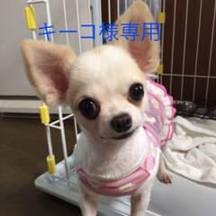 キーコ様専用ページ 犬のおやつ4袋のサムネイル