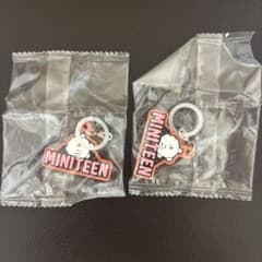 MINITEEN キーホルダー 2個セット ウジのサムネイル