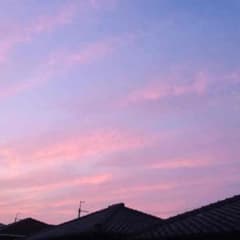 yuma様専用のサムネイル