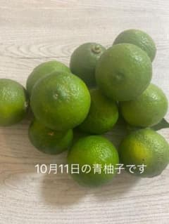 無農薬　青柚子　1キロ前後のサムネイル