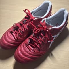 asics DSLight X-flyのサムネイル