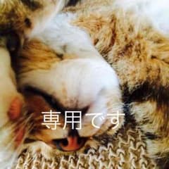 専用のサムネイル