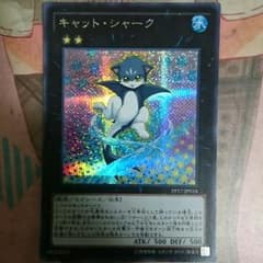 キャットシャークのサムネイル