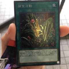 捕食活動のサムネイル