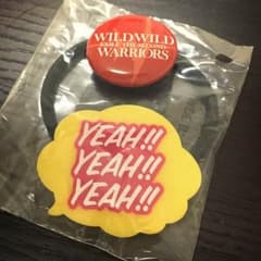 WILD WILD WARRIORSのサムネイル