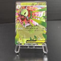 m10763435596_1.jpg?1766674025