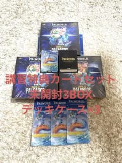 パルワールド BOX 箔押しソウルカード 夏オコチョ プロモカード 講習会