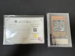 古代の機械巨竜 レリーフ ARS鑑定10 鑑定書付き - メルカリ