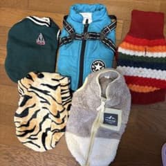 犬服冬用セット 小型犬5点セットのサムネイル