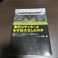 海外のサッカーはなぜ巨大化したのかのサムネイル