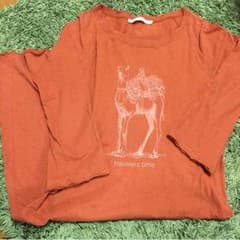 chitoぽんさん専用✳︎archi Tシャツワンピのサムネイル