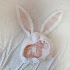 うさぎ　被り物のサムネイル