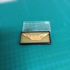山*野様 起動戦士　ガンダム　地球防衛軍パイロット章　0083のサムネイル