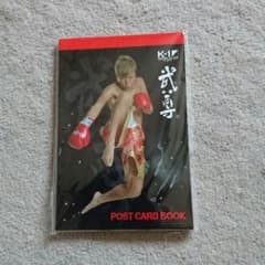 ＳＡＬＥ K-1武尊 ポストカードbookのサムネイル