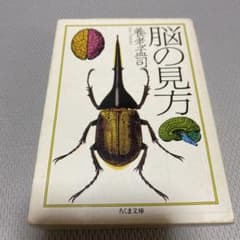 脳の見方のサムネイル