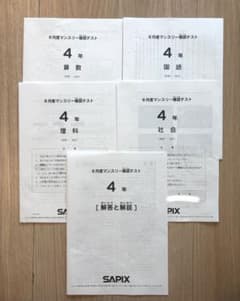 SAPIX サピックス 4年 6月度確認テスト2024年 - メルカリ