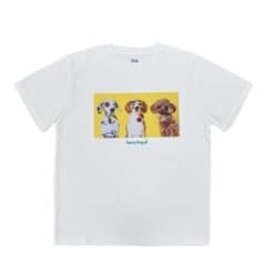 Saucy Dog Tシャツ ホワイト Lサイズのサムネイル