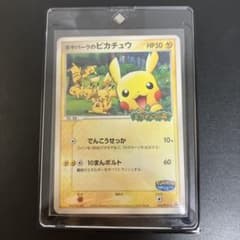 ポケパークのピカチュウ PROMO PCG-Pプロモ 043/PCG-P - メルカリ