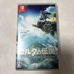 Switch 젤다의 전설 티어즈 오브 더 킹덤 티아킨