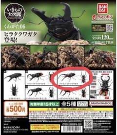 いきもの大図鑑　くわがた06 プラネットミヤマクワガタのサムネイル