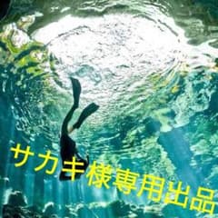 サカキ様専用出品のサムネイル