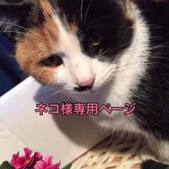 ファンデーションスティックのサムネイル