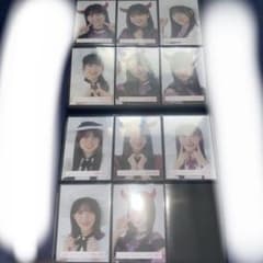 櫻坂46 生写真 ハロウィン2023 ヨリ 3期生フルコンプ 櫻坂46 生写真 ハロウィン2023 ヨリ 3期生フルコンプ Amazon.co