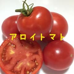 アロイトマト　種のサムネイル